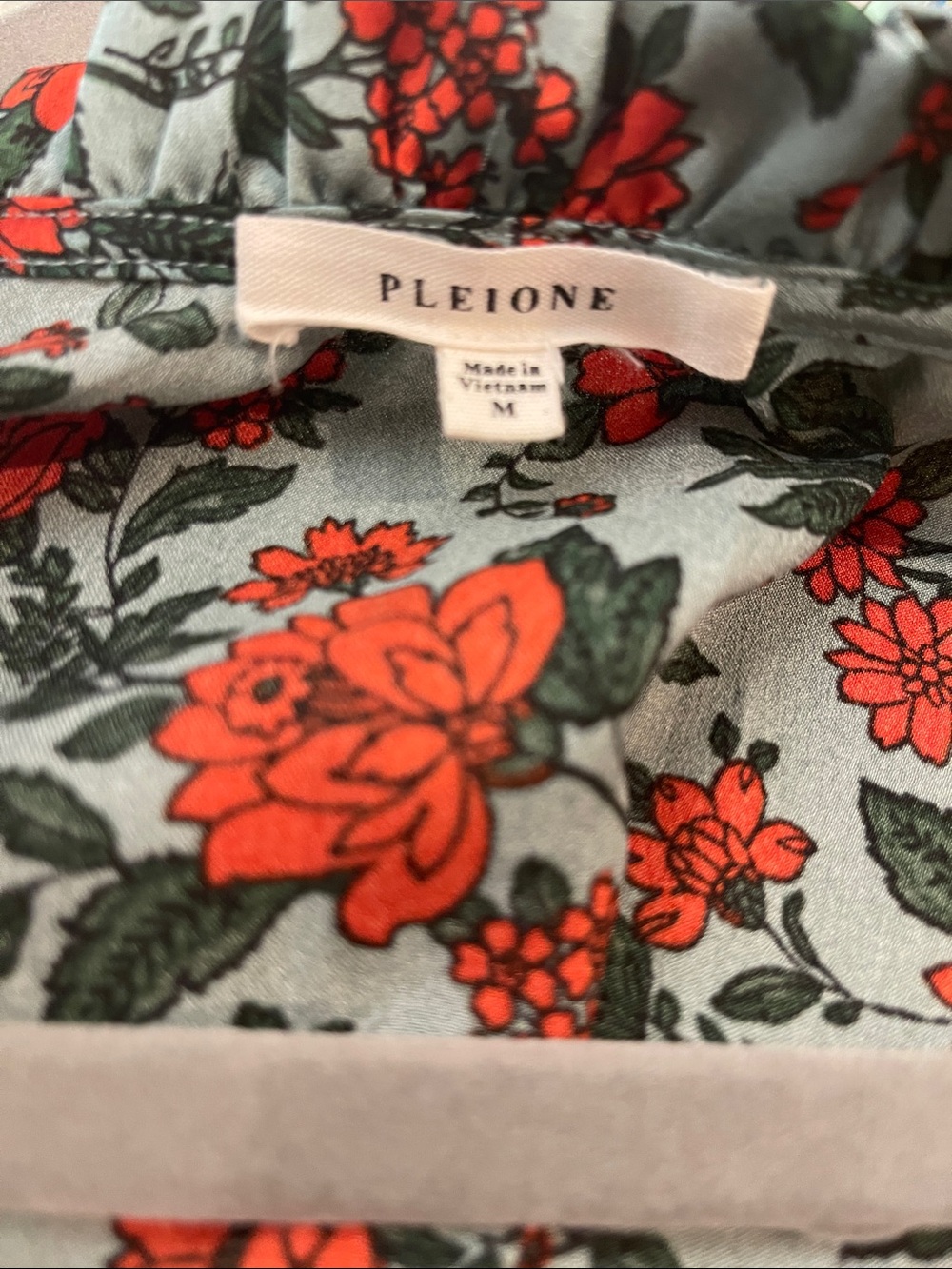 Pleione Red Floral Blouse on Sage Background